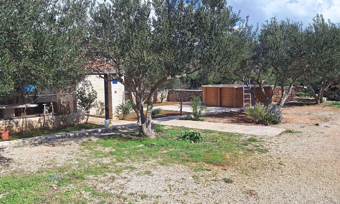Pirovac Casa | House Pygmy Cormorant (14582-K1) - Pirovac