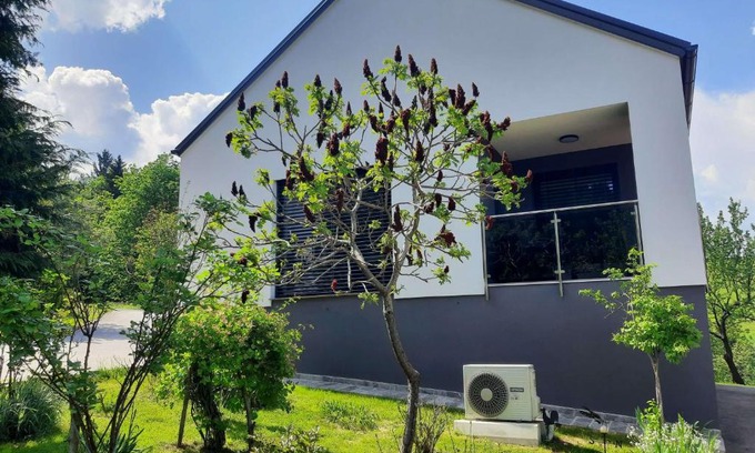 Paka Apartamento | House Under The Maple Tree