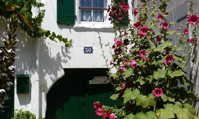 La Couarde-sur-Mer Casa | casa / villa / chalet - Ile de Ré - La Couarde sur mer