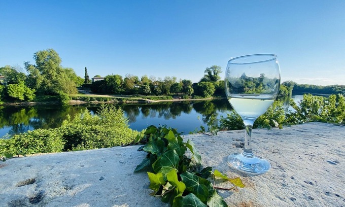 Lamonzie-Saint-Martin Casa | House with private pool and jacuzzi, panoramic river view