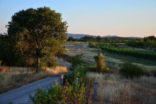 Trn Casa | House with the ecogarden at the end of the Village