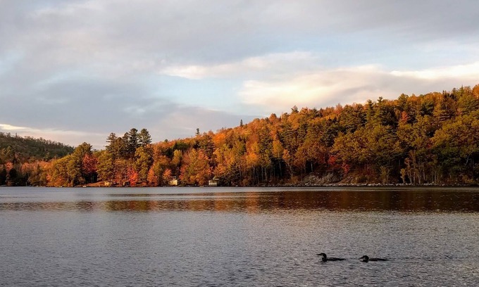 Hanover Cabina | Howard Pond - Familiarmente Y Pet-Friendly Quiet Home