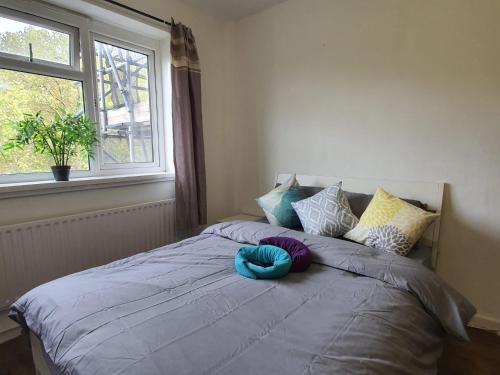 Haggerston Casa | Hoxton Rooms E2