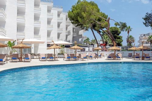 Muro Apartamento | HSM Lago Park