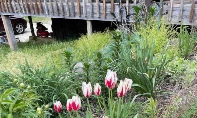 Leasburg Casa | Huge 3000 sq ft - 20+ acres < 5 miles Cave & river - float, swim, fish and hike.