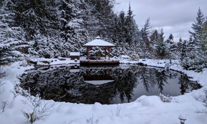 Regional District of Nanaimo Complejo | Huge Private Oasis, Special Events, Perfect for Large Groups, Outdoor Sauna.