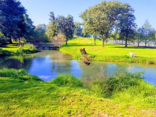 Dafna Apartamento | Huge & Private Villa In Kibbutz Dafna
