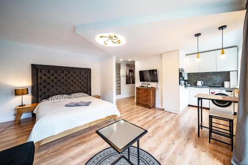 Siauliai City Center Apartamento | Hugo apartment
