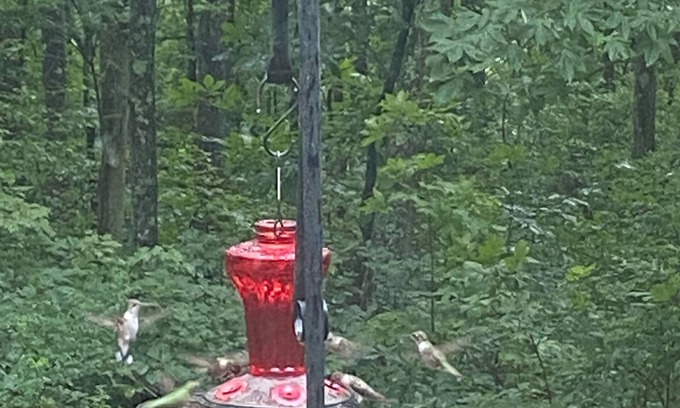 Ozone Apartamento | Humming Bird Hideaway