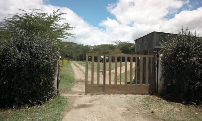 Naivasha Hotel | Hungry & T Hippo