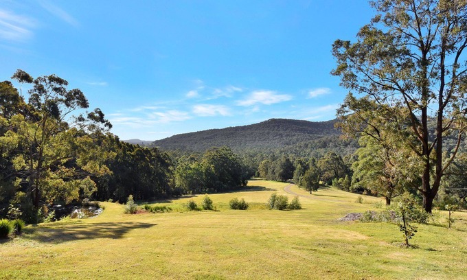Brunkerville Casa | Hunter Valley Kangaroo Retreat with 60+ Kangaroos