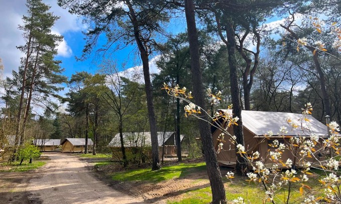 Kootwijk Otro | Huttopia De Veluwe