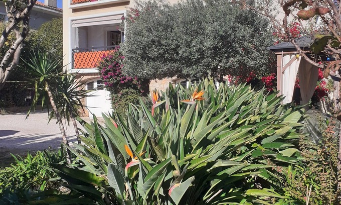 Hyeres City Centre Apartamento | apartamento grande (6 personas) - Hyères Downtown