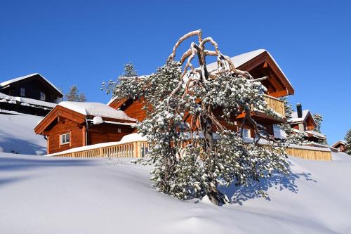 Kviteseid Casa | Hyggelig Blikk - Mountain Cabin with Sauna & Ski Access