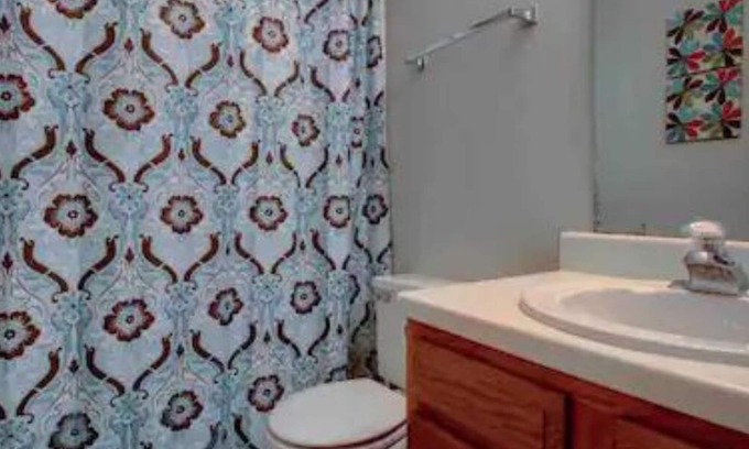 Roanoke Casa | I AM a Quiet, 2BR Townhouse w/ Pets Considered near Downtown