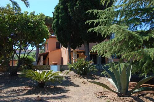 Capoliveri Apartamento | I Fiori di Salici