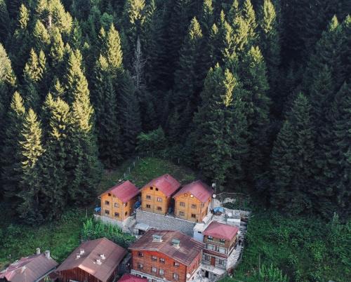 Ayder Yaylasi Chalet De Esquí | İnka Dağ Evi