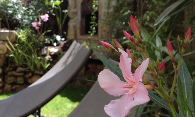 Serra-di-Ferro Apartamento | ❤ Ideal para una pareja, tranquilo con jardín privado, playa de Cupabia 5 minutos