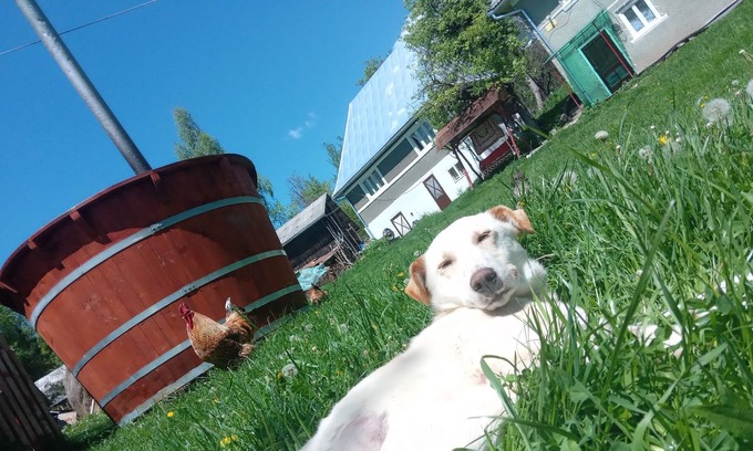 Tarina Casa | Sejour familiar idílico con Hottube en Green Land