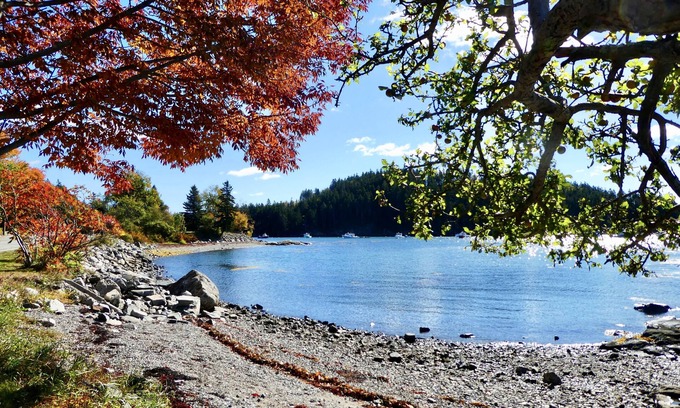 Bernard Apartamento | Idílico suite de un dormitorio con océano delicioso e isla cerca de Acadia
