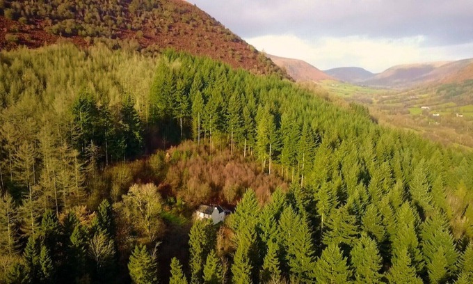 Longtown Cabaña | Idyllic Romantic Forest Retreat