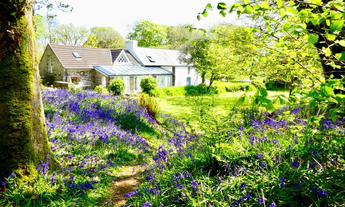 Skibbereen Otro | Idílico oeste granja rural de corcho con 3 hectáreas y el río, Skibbereen