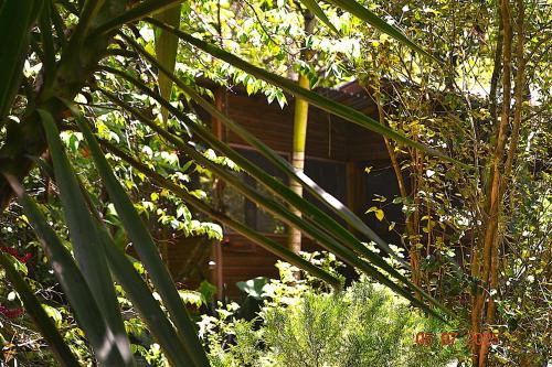 San Ignacio Casa | Iguana Roost for explorers, families or travelers Welcome to The Tropical Acre