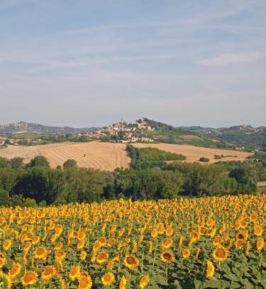 Montiglio Monferrato Cama Y Desayuno | Il Casale
