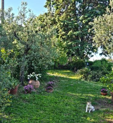 Amelia Casa | Il casaletto di Simeone