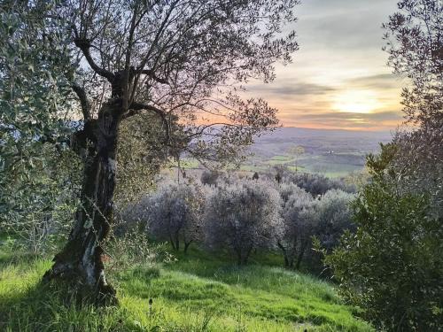 San Donnino Casa | Il Cestino di Ciliegie
