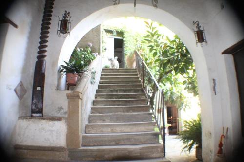 Ogliastro Cilento Apartamento | Il frantoio