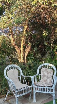 Solarussa Casa | Il Giardino