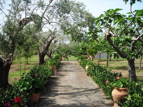 Acquedolci Casa | Il Giardino sul Mare