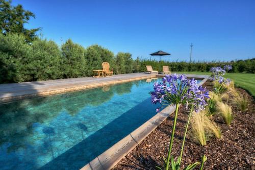 Castello di Godego Cama Y Desayuno | Il Glicine - Natural BnB
