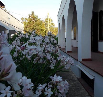 Marina di Mancaversa Apartamento | Il Lentisco