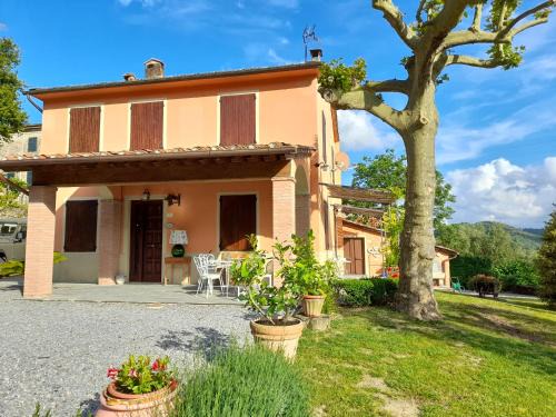 Villabuona Casa | il platano