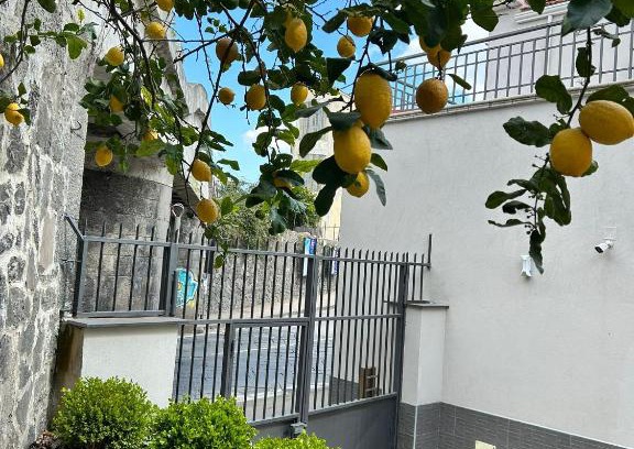 Sant'Anastasia Cama Y Desayuno | Il Ponte a Vapore