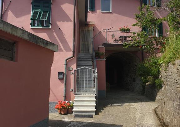 Isola Casa | Il Regno di Palmira