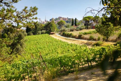 Bertinoro Casa | Il Vigneto Cottage