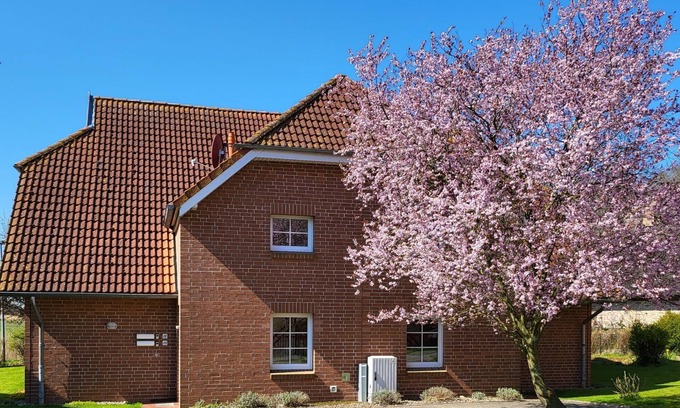 Waase Apartamento | im Dörp by Interhome