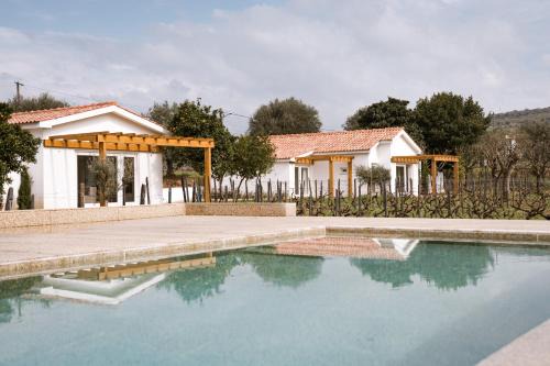 Lamego Villa | IMAGO Houses - Private Pool - Douro Valley - by MET