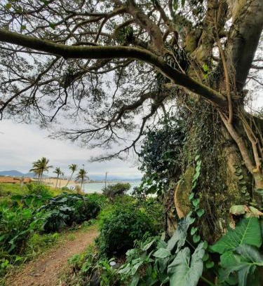 Ingleses Sul Casa | ImobIlha - Casa de Praia Ingleses - Santinho