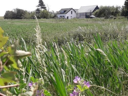 Burgh-Haamstede Apartamento | in de Boomgaard