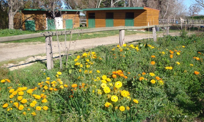 Saint-Gilles Apartamento | In the camargue for carp and big catfish fishing gite on the banks of theRhône