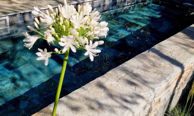 San-Gavino-di-Tenda Apartamento | In the heart of Conca d'Oru, apartment with garden and pool.