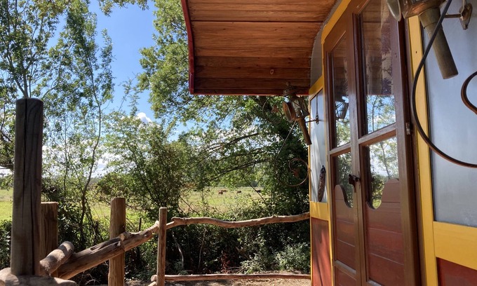 Arles Cabina | In the heart of a Manade