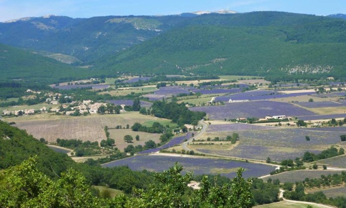 Lardiers Apartamento | En la tierra de la lavanda, al pie de la montaña Lure