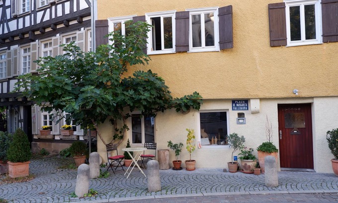 Tuebingen Apartamento | NUEVO! en FeWo-direkt: soleado 65 metros cuadrados en el centro del casco antiguo, zona tranquila!