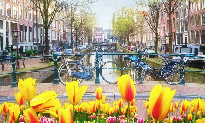 Museum Quarter Apartamento | In the tree lined streets of Amsterdam-A stones throw from Vondelpark