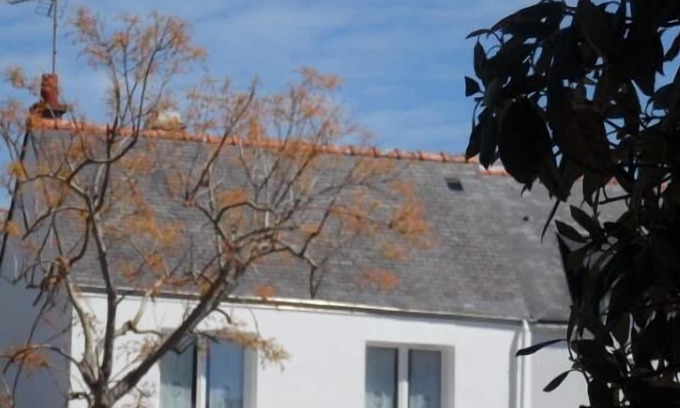 Saint-Pierre-Quiberon Apartamento | Estudio independiente